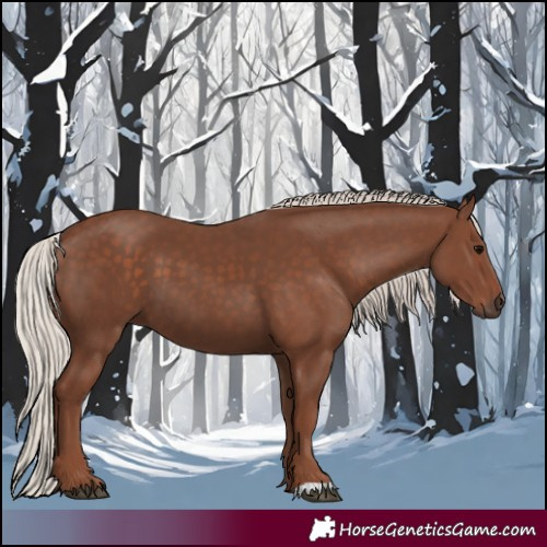 Horse Color:Silver Black
