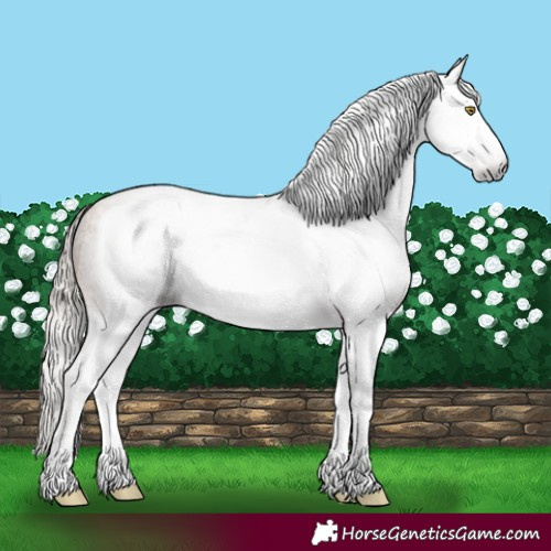 Horse Color:Gray Silver Sable Champagne Roan Splash Frame Rabicano