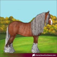 Horse Color:Bay Rabicano  and Silver Bay Rabicano 