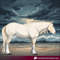 Horse Color:Palomino Roan Dun Splash Rabicano