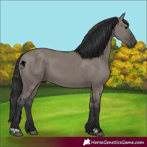 Horse Color:Grullo