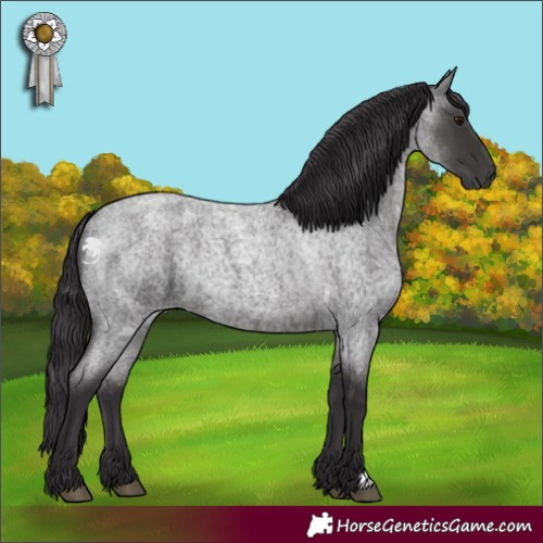 Horse Color:Smoky Blue Roan 