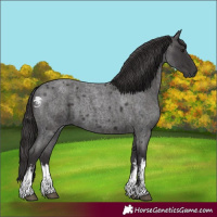 Horse Color:White Spotted Smoky Blue Roan 