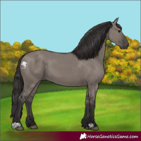 Horse Color:Smoky Grullo 