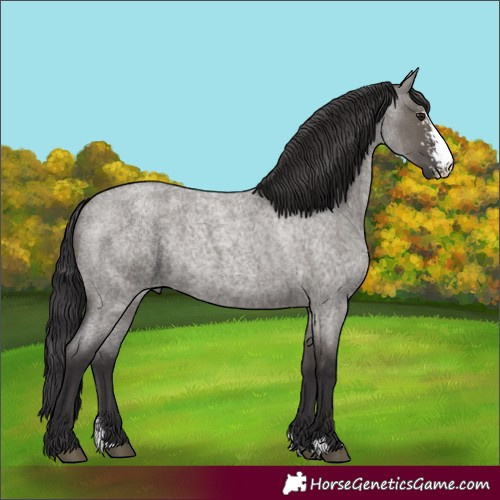 Horse Color:Smoky Grullo Roan Sabino