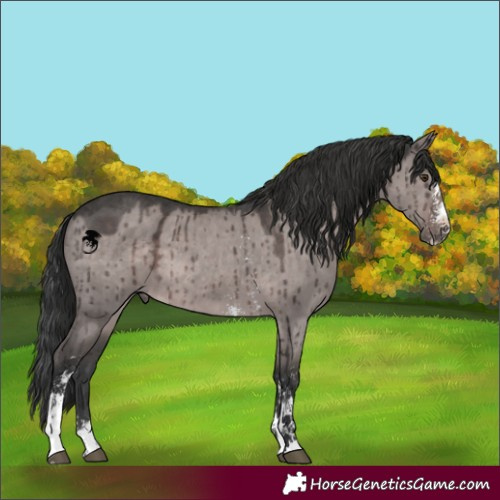 Horse Color:Platinum Liver Red Dun Sabino Brindle 
