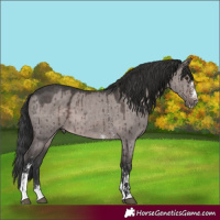 Horse Color:Platinum Liver Red Dun Sabino Brindle 