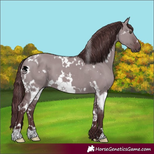 Horse Color:White Spotted Chocolate Grullo Chinchilla 