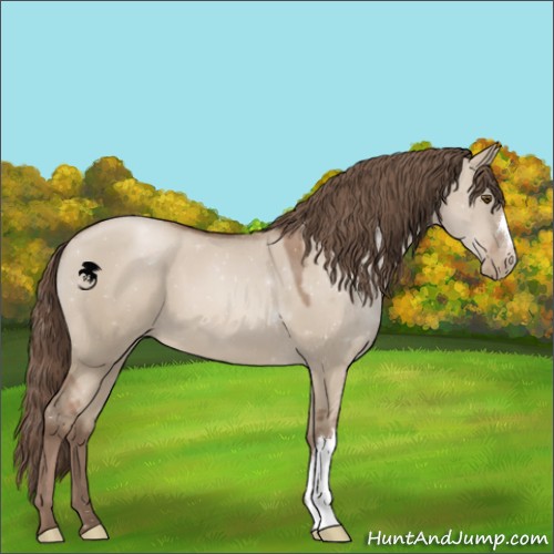 Horse Color:Grullo Pearl 