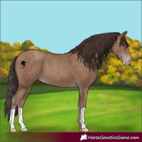 Horse Color:Classic Champagne 