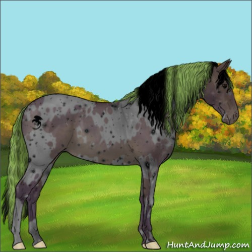 Horse Color:ERROR: UNKNOWN ANOMALY