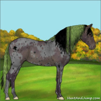 Horse Color:ERROR: UNKNOWN ANOMALY