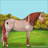 Horse Color:Watercolor White Spotted Liver Red Dun 