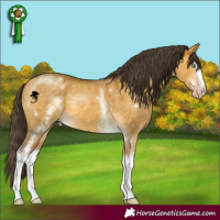 Horse Color:White Spotted Sable Cream Champagne Dun 
