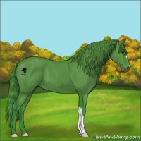 Horse Color:Watercolor Black 