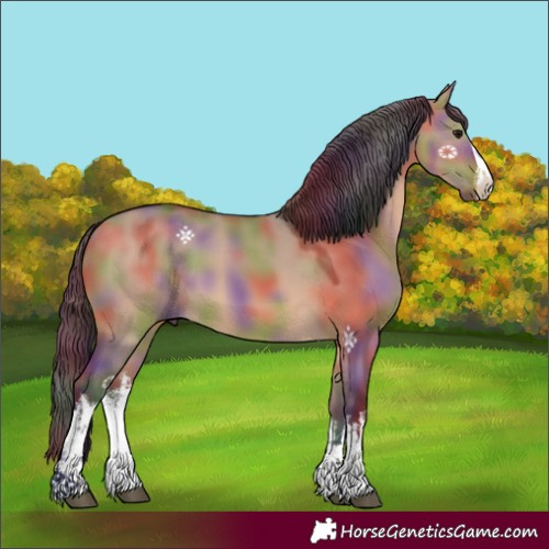 Horse Color:Nacre White Spotted Bay Dun 
