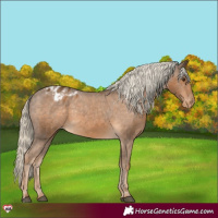 Horse Color:Chocolate Palomino Varnish 