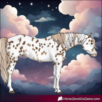 Horse Color:Chocolate Palomino Tobiano Near Leopard 