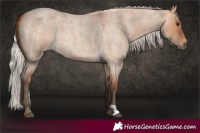 Horse Color:Silver Bay Roan Dun