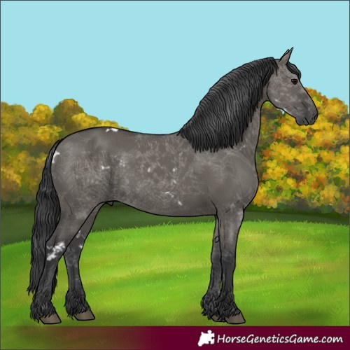 Horse Color:White Spotted Grullo 