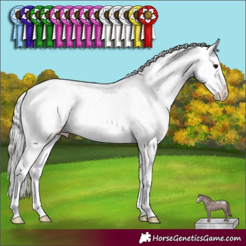 Horse Color:Silver Brown Sabino Appaloosa Rabicano 