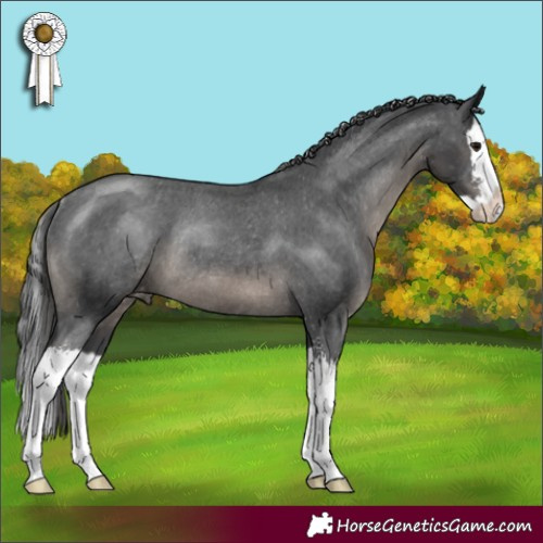 Horse Color:Black Sabino Splash Appaloosa Rabicano 