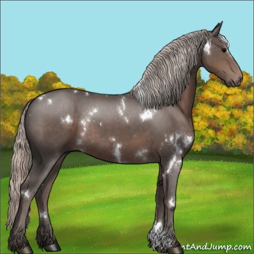 Horse Color:White Spotted Silver Black Rabicano 