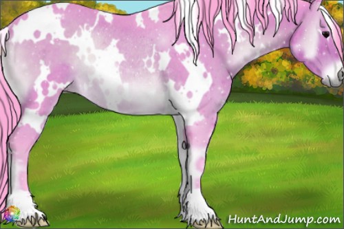 Horse Color:Watercolor White Spotted Brown Onyx Rabicano 