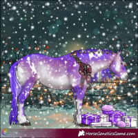 Horse Color:Watercolor White Spotted Brown Onyx Rabicano