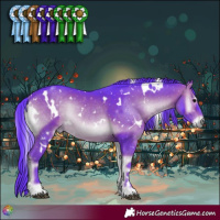 Horse Color:Watercolor White Spotted Brown Onyx Rabicano 