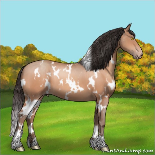 Horse Color:White Spotted Amber Champagne 