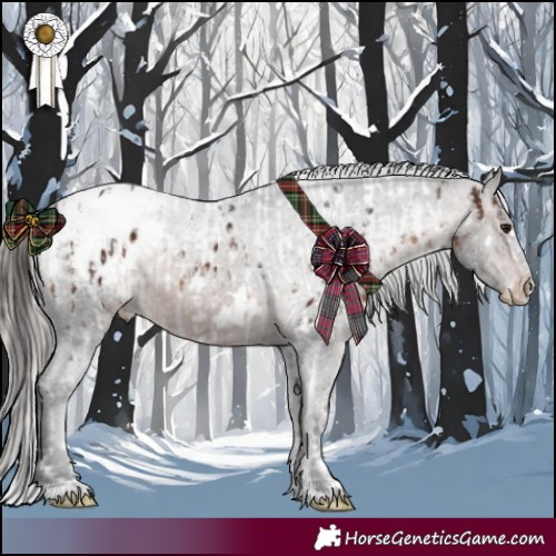 Horse Color:White Spotted Silver Brown Appaloosa  and White Spotted Brown Appaloosa 