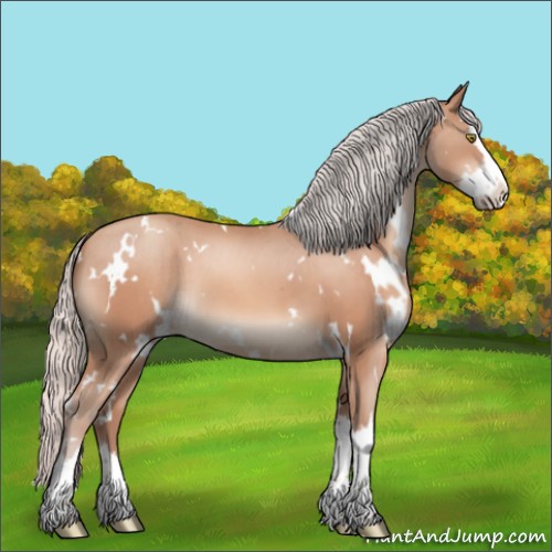 Horse Color:White Spotted Silver Sable Champagne Splash 