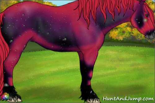 Horse Color:ERROR: UNKNOWN ANOMALY
