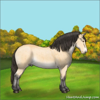 Horse Color:Buckskin Dun Brindle 