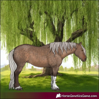 Horse Color:Silver Brown Dun Tobiano 