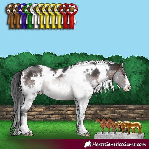 Horse Color:White Spotted Brown 