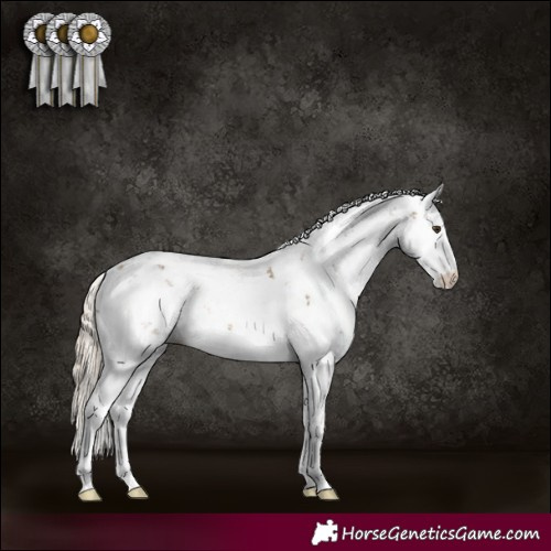 Horse Color:Chocolate Palomino Sabino Rabicano 
