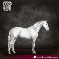 Horse Color:Chocolate Palomino Sabino Rabicano 