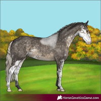 Horse Color:Silver Smoky Grullo Sabino 