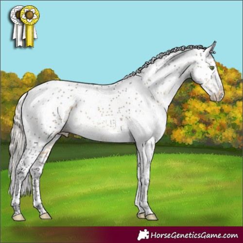 Horse Color:Silver Buckskin Sabino Rabicano 