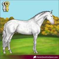 Horse Color:Silver Buckskin Sabino Rabicano 