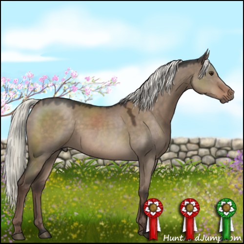 Horse Color:Liver Red Dun Mushroom Sabino Rabicano 