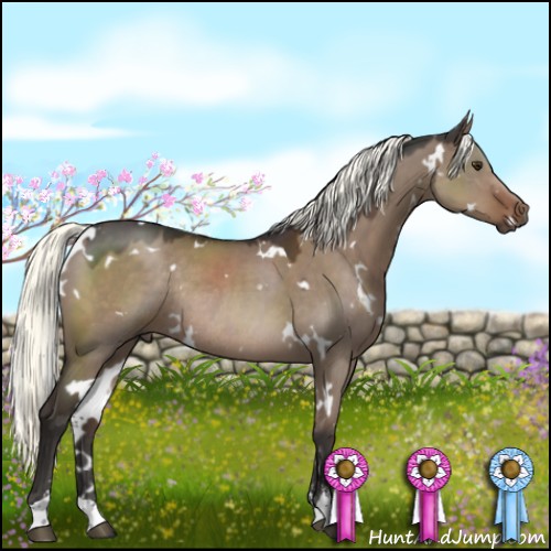 Horse Color:White Spotted Liver Red Dun Mushroom Sabino Rabicano 