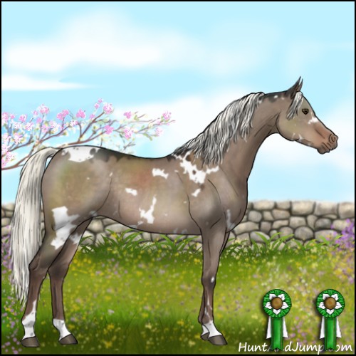 Horse Color:White Spotted Liver Red Dun Mushroom Rabicano 