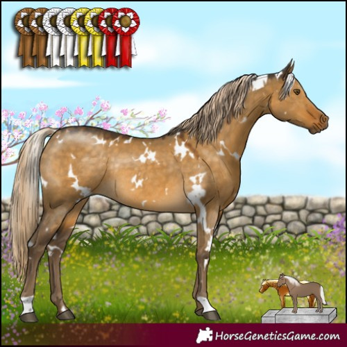 Horse Color:White Spotted Chocolate Palomino Dun Mushroom Rabicano 