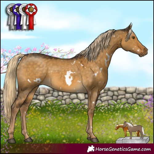 Horse Color:White Spotted Chocolate Palomino Dun Mushroom Rabicano 