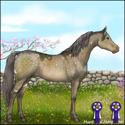Horse Color:White Spotted Chocolate Palomino Dun Mushroom Rabicano 