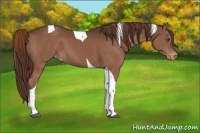 Horse Color:Liver Chestnut Tobiano Varnish 