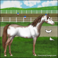Horse Color:Red Roan Frame 